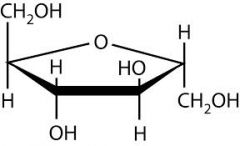 - 6 Carbon (C6H12O6) ring or linear structure
- Fructose and glucose are structural isomers