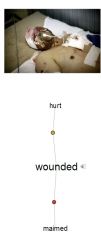 wounded