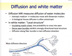 Diffusion and white matter