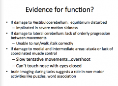 Evidence for function of cerebellum?