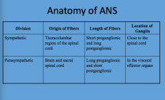 Anatomy of ANS