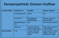 Parasympathetic Division Outflow