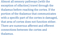 Is the cerebral cortex dependent of the thalamus? If yes, why?
