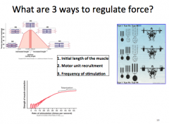 What are 3 ways to regulate force?