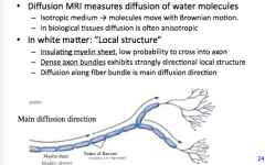 Diffusion and white matter