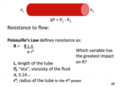 a physical law that gives the pressure drop in a fluid flowing through a long cylindrical pipe. It can be successfully applied to blood flow in capillaries and veins, to air flow in lung alveoli, for the flow through a drinking straw or through a hypoderm