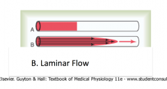B is displaying Laminar Flow