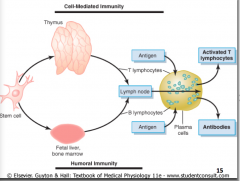 Cell-mediated immunity is an immune response that does not involve antibodies but rather involves the activation of phagocytes,antigen-specific cytotoxic T-lymphocytes, and the release of various cytokines in response to an antigen. Historically, the immu