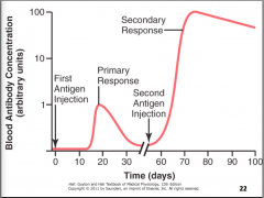 The first injection of an antigen into an animal induces the transformation of only a small number of small lymphocytes into lymphocytes (plasma cells). Circulating antibodies 0 the antigen appear after a time interval, called the latent period, which var