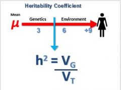 Heritability Coefficient