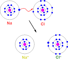 Na => Na+


Cl=> Cl-


ADD SQ. BRACKETS AROUND THE IONS.


DRAW Na AS CROSSES.