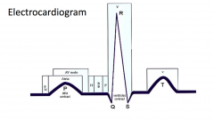 Each blip corresponds to a phase of the cardiac cycle