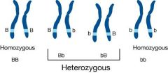 Having dissimilar pairs of genes for any heredity characteristic
