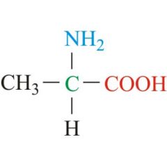 Alanine, Ala, A


 


• Has a methly group for R-chain


 


• Aliphatic side chain


 


• Most generic


 


• Non-polar


 


• Hydrophobic