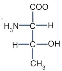 Threonine, Thr, T


 


• Beta branched


 


• Aliphatic hydroxyl side chain


 


• Polar


 


• EN negative


 


• Hydroxyl group AND methyl group


 


• Good hydrogen bond-forming moieties


 

...