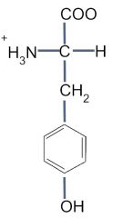 Tyrosine, Tyr, R


 


• Aromatic side chain


 


• Amphipathic


 


• Hydrophobic with polar properties


 


• Good hydrogen-bond forming moieties


 


• Also has non-polar characteristics due to its aromati...