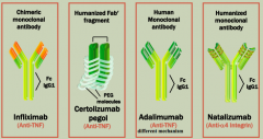 Anti-TNF monoclonal antibodies:
- Infliximab
- Certolizumab pegol
- Adalimumab