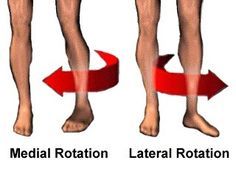 Lateral Rotation