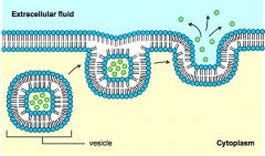 -a reverse process of endocytosis to get rid of wastes
-the waste substance is in a vesicle and and fuses with cell membrane until it opens and waste is released
