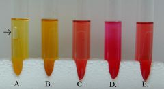 28#Phenol Red Carbohydrate Fermentation
Test results