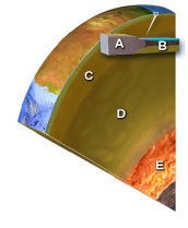 Which layer on this figure is the upper mantle?