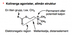 - liten grupp, t.ex. metylgrupp i acetylkolin
- elektronegativ region
- mellankedja 
- permanent/potentiell katjon