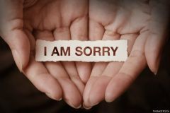 Apologize

