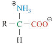The H atom of the -COOH group is donated to the -NH2 group of the same molecule.

