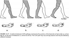 1. (a) At heel strike
2. (b) At foot flat
3. (c) At the end of midstance
4. (d) At toe off
5. Center of pressure (COP) path may vary among subjects and may be altered by different footwear