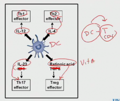 IL-4 is easy because it's associated with B cells

Retinoic acid is derivative of Vit A