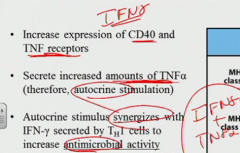 TNFgamma increases CD40 and TNF receptors and increases TNF alpha secretion. So it autocrines itself with TNFalpha and the IFNgamma together makes it go super sayan antimicrobial.
