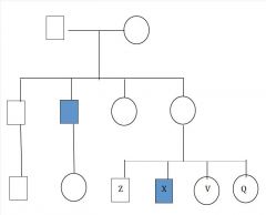 Refer to the attached piece of a family pedigree. Of the siblings listed (Q, W, X, Z), by convention, who is the oldest and what gender are they?