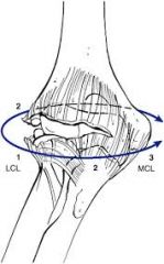 1st – LCL posterior lateral dislocation last – MCL aanterior bundle