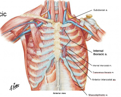 posterior intercostal artery (most of supply, right off aorta)
anterior intercostal arteries (off internal thoracic artery, not vital) 
anastomosis between