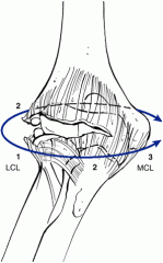 inserts on the sublime tubercle which is the anterior medial facet of the cornoid specifically 18.4 mm dorsal to the tip of the coronoid process
Resistance valgus and posterior medial rotatory instability
medial process of the coronoid
