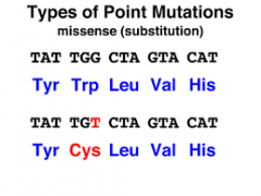 A mutation that results in a single substitution of one amino acid in the polypeptide.