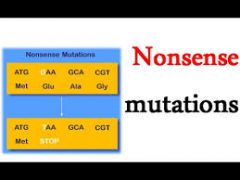 A mutation that converts a codon for an amino acid into a stop codon.