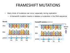 A mutation that causes the reading frame of codons to change (ie. deletion or insertion)