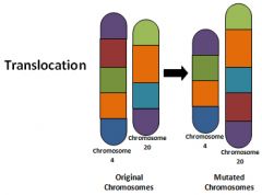 The transfer of a fragment of DNA from one site in the genome to another location. Usually occurs between nonhomologous chromosomes.