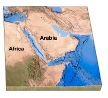 How did the Red Sea, shown between Arabia and Africa in this figure form?