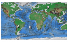 Which area(s) on this world map is likely to have volcanoes above sea level?