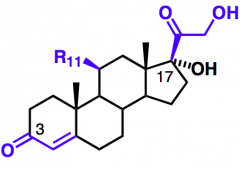 - Hydroxi eller ketogrupp i 11-position
- Ketolkedja i 17beta
- keton i 3
- Alken i 4 
(jmf med androgener)