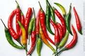 chili pepper