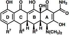 - aromatisk D-ring 
varannan keton och hydroxylgrupp på ena sidan av naftacensystemet (som binder upp kalcium)
- många substituenter 