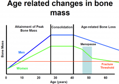•Puberty onwards 2-3% increase in bone mass upto peak 30yrs.
•Steady till about 35-40
•Then bone loss 0.3-0.5%/yr
•After menopause in women : rapid bone loss
2-3% per yr for the next 8-10 yrs (mainly trabecular)
•>60 rate of loss sl...