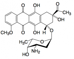Antracykliner
- plant ringsystem med minst 2 ringar. Alla är sp2-kol
- polär del (sockerdel)