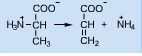 Conversion of alanine to acrylic acid involves the __________ of the elements of ammonia