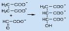 The reaction of succinate with glyoxylate to form isocitrate is an _____________.