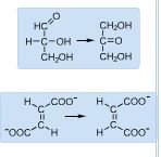 Conversion between gycleraldehyde and dihydroxyacetone as well as the conversion between fumarate and maleate are examples of ________