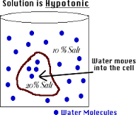 hypotonic